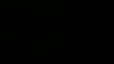 Peter online show from December 1, 2024, 8:31 pm