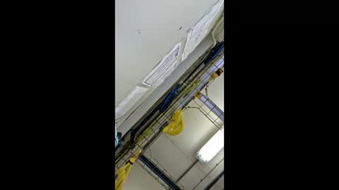 1971berliner online show from February 24, 2026, 12:03 pm