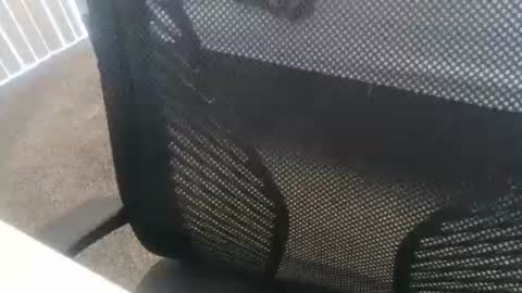 Snapshot of 1chris505 chatting on January 2, 2025, 6:01 pm 1chris505 online show from January 2, 2025, 6:01 pm