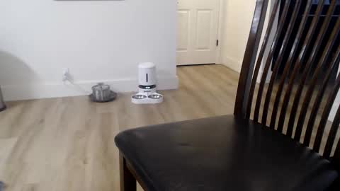 i erupt if you suck ur nipples 4 me and look at the camera while watching me online show from November 9, 2025, 2:59 pm