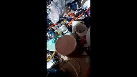 Boy In Sisters Clothes online show from December 27, 2024, 11:50 am