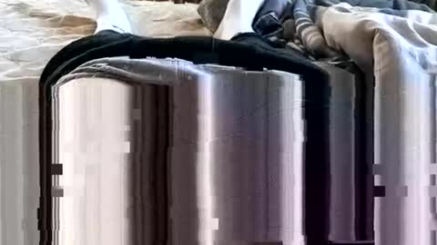 1injecttoys_ online show from March 7, 2026, 5:37 am