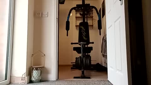 Snapshot of 1secondwonder chatting on September 29, 2025, 3:39 pm Littleweener online show from September 29, 2025, 3:39 pm