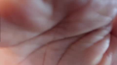 1wayra online show from November 24, 2025, 4:07 pm