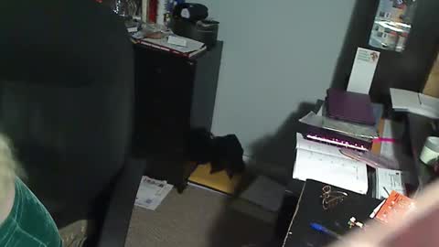 Snapshot of 1xtrahornyone chatting on December 19, 2025, 1:01 am Susan online show from December 19, 2025, 1:01 am