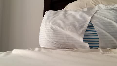 Snapshot of 2022felipe chatting on December 14, 2024, 8:18 pm 2022felipe online show from December 14, 2024, 8:18 pm