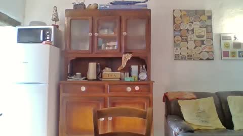 22esserre online show from January 14, 2026, 12:11 pm