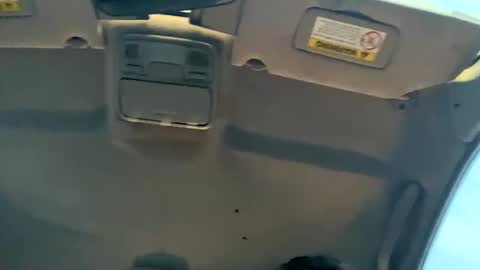 23havefunwitme online show from February 17, 2025, 12:43 am