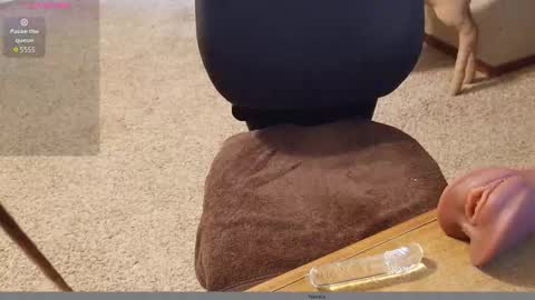 Snapshot of 2tiredoftoys chatting on November 15, 2025, 11:32 pm 2tiredoftoys online show from November 15, 2025, 11:32 pm