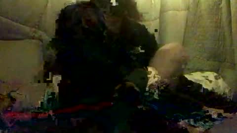 420alwayshard online show from April 19, 2026, 11:31 am