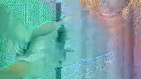 Snapshot of 56funleo chatting on October 19, 2025, 4:51 pm Daddy online show from October 19, 2025, 4:51 pm