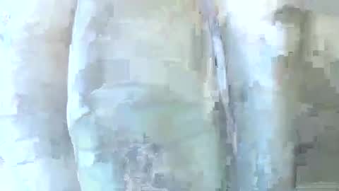 Snapshot of 56funleo chatting on December 1, 2025, 6:24 pm Daddy online show from December 1, 2025, 6:24 pm