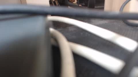 64293boy online show from January 13, 2026, 12:43 pm