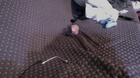 Snapshot of 69ass_tastic chatting on March 2, 2025, 4:53 pm Chris online show from March 2, 2025, 4:53 pm