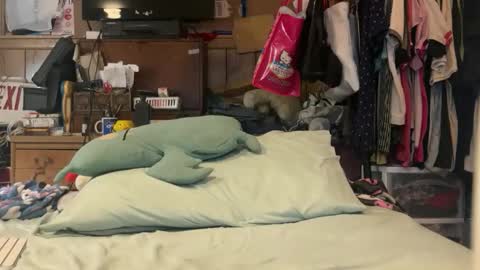 FUCKR online show from March 17, 2026, 4:50 am