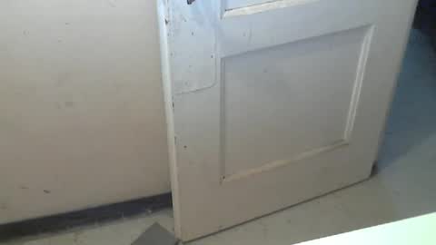 69pifpaf online show from December 19, 2025, 10:11 am