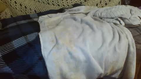 69sextoyboy69 online show from December 11, 2024, 11:08 am