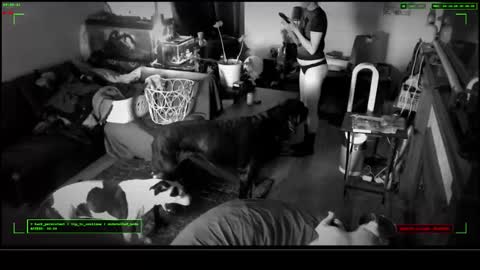 Snapshot of 6vyr_vlt9 chatting on December 17, 2025, 4:57 pm Voyeur Vault online show from December 17, 2025, 4:57 pm