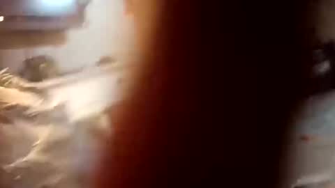 Snapshot of 7lairddip chatting on October 6, 2025, 3:59 am 7lairddip online show from October 6, 2025, 3:59 am