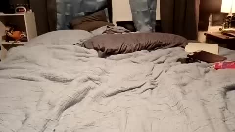 Snapshot of 7lairddip chatting on February 15, 2026, 7:51 am 7lairddip online show from February 15, 2026, 7:51 am