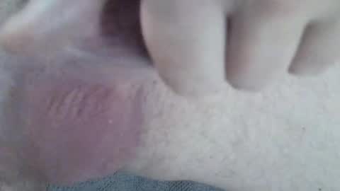 Snapshot of 81_harterschwanz chatting on December 2, 2024, 6:20 am Maximilian Max online show from December 2, 2024, 6:20 am