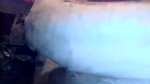 8inches4you2 online show from December 12, 2024, 3:10 am