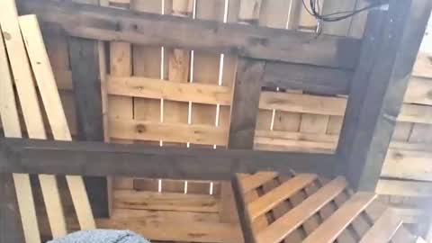 999mateo999 online show from October 11, 2025, 11:20 am