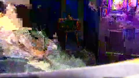 99ez99 online show from January 16, 2026, 7:56 am