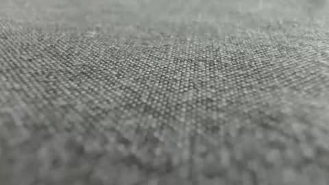 9inchesreal online show from October 29, 2025, 10:06 am