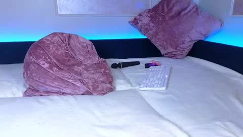 Snapshot of _a_n_n_y_ chatting on February 11, 2025, 12:16 pm Willow online show from February 11, 2025, 12:16 pm