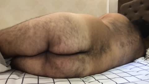 Snapshot of _alan_bear_ chatting on May 13, 2026, 4:15 pm Alan online show from May 13, 2026, 4:15 pm