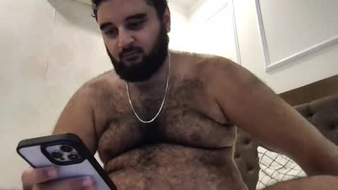 Snapshot of _alan_bear_ chatting on May 14, 2026, 7:48 am Alan online show from May 14, 2026, 7:48 am