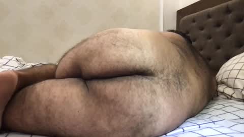 Snapshot of _alan_bear_ chatting on May 19, 2026, 6:47 pm Alan online show from May 19, 2026, 6:47 pm