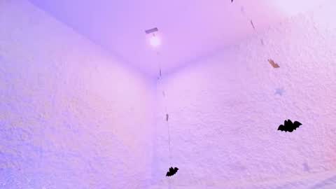 Alexander online show from October 28, 2025, 2:42 pm