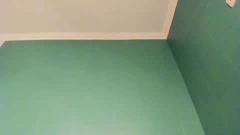 Snapshot of _ashley_collin_ chatting on November 24, 2025, 3:06 am Sofia online show from November 24, 2025, 3:06 am