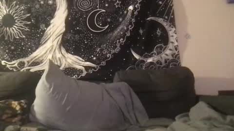 Snapshot of _bandit_b0y chatting on February 20, 2025, 5:01 am bandit online show from February 20, 2025, 5:01 am