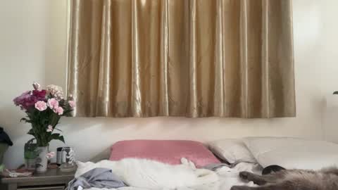 Snapshot of _chelsea___ chatting on February 16, 2025, 9:16 pm Chelsea xo online show from February 16, 2025, 9:16 pm