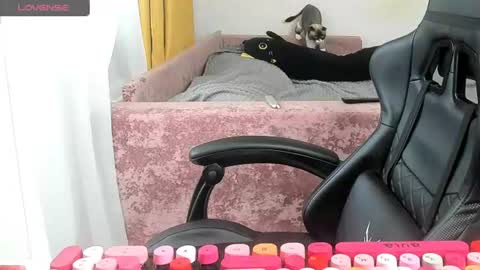 Snapshot of _feralberry__ chatting on June 26, 2026, 3:55 am Alis online show from June 26, 2026, 3:55 am