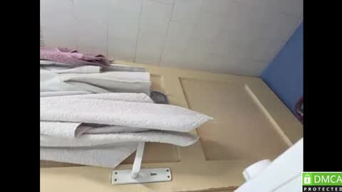 Joker online show from April 14, 2026, 2:28 am