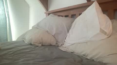 Kiwi online show from December 2, 2025, 7:53 pm