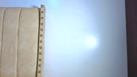 Littlevenus online show from February 3, 2026, 2:53 am