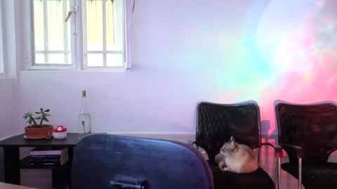 Snapshot of _lunablondie_ chatting on August 5, 2026, 2:31 pm _lunablondie_ online show from August 5, 2026, 2:31 pm