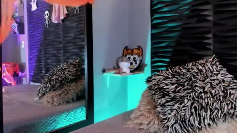 Snapshot of _lustyles_ chatting on October 31, 2025, 4:02 am _lustyles_ online show from October 31, 2025, 4:02 am