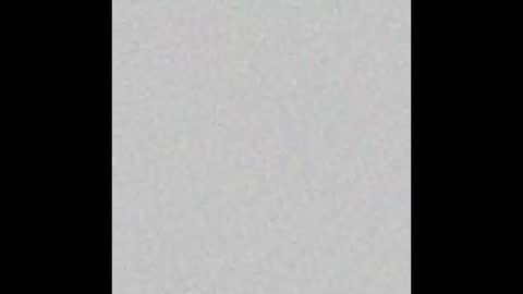 _maccaa_ online show from October 28, 2025, 11:58 am