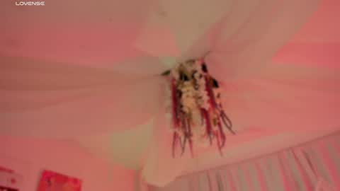       Telegram Channel channelofmers Subscribe schedule 600 am 1200 am Colombia time online show from December 21, 2024, 7:45 am