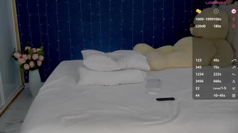 Snapshot of _mirror_girl chatting on January 29, 2025, 3:12 am Victoria online show from January 29, 2025, 3:12 am