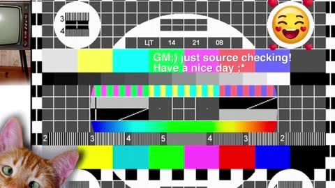  HADLY today day-off see u online 0112  online show from December 9, 2024, 11:26 am