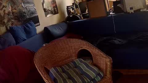 Sven online show from October 30, 2025, 1:23 pm