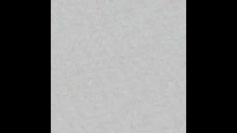 _tammarra_ online show from February 3, 2026, 6:13 pm