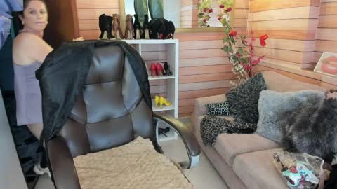 Sol online show from March 31, 2026, 10:59 am